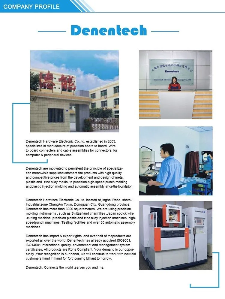 Company Profile